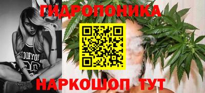 Альфа ПВП Уссурийск